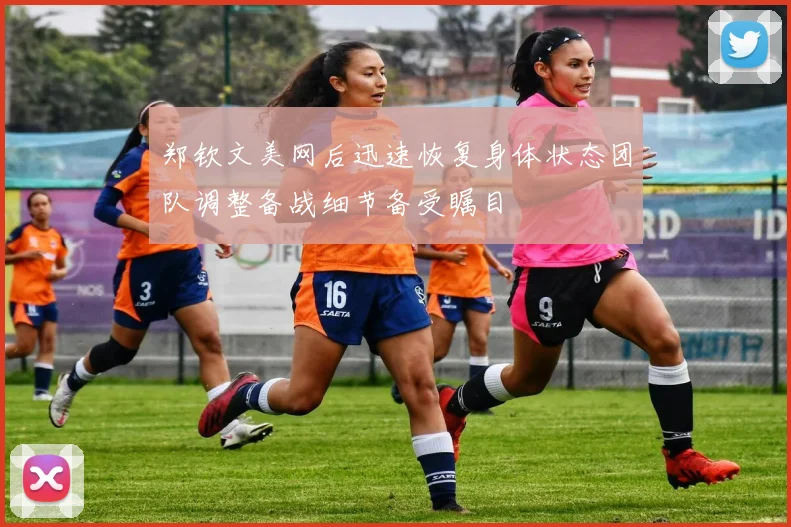 郑钦文美网后迅速恢复身体状态团队调整备战细节备受瞩目